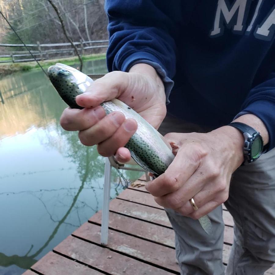 The Fishing Hole Cabin - Sage Vacations 개틀린버그 외부 사진