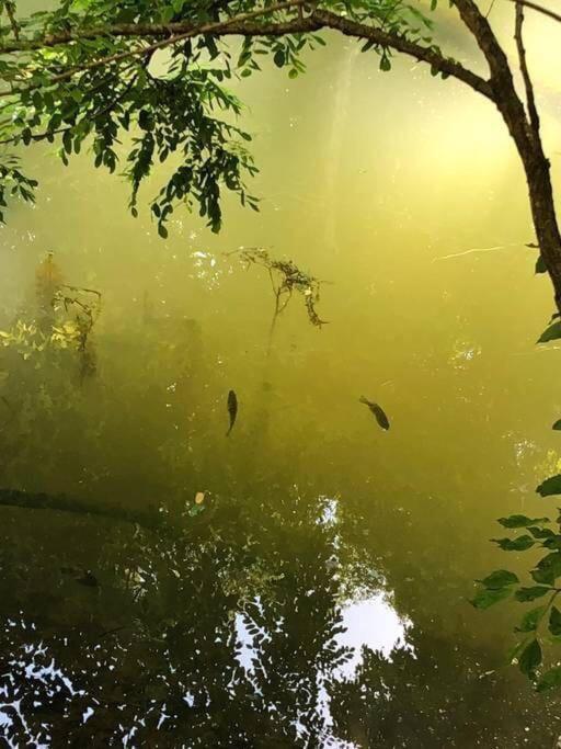 The Fishing Hole Cabin - Sage Vacations 개틀린버그 외부 사진